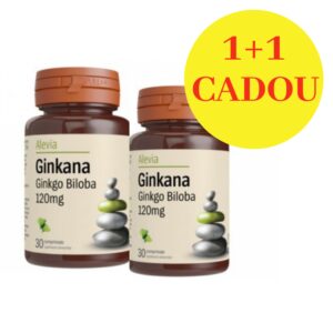 Pachet Ginkana Ginkgo Biloba 120 mg