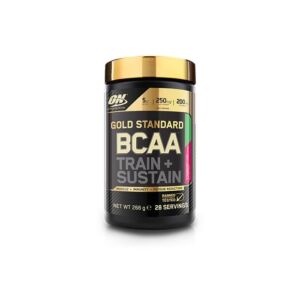 Aminoacizi BCAA Train Sustain Strawberry Kiwi