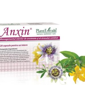 Anxin