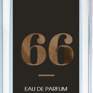 Apa de parfum pentru barbati Nr. 66