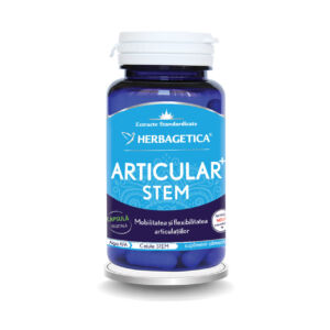 Articular Stem