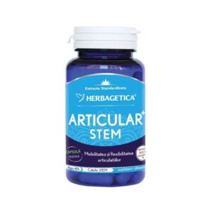 Articular Stem