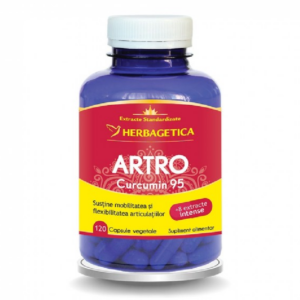 Artro Curcumin 95