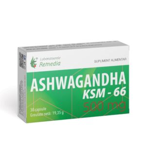 Ashwagandha KSM-66 500mg