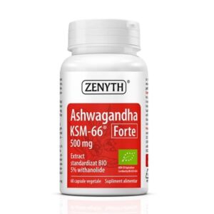 Ashwagandha KSM-66 Forte 500 mg