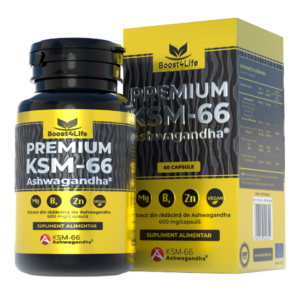 Ashwagandha KSM-66 Premium
