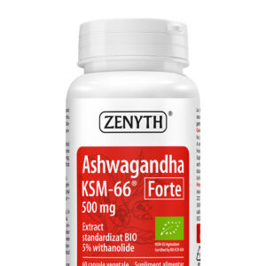 Ashwaghanda KSM-66 Forte 500 mg
