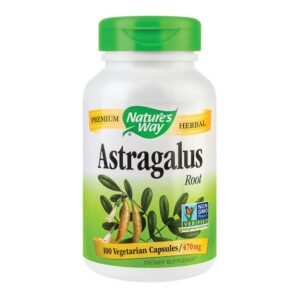 Astragalus