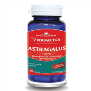 Astragalus 30 capsule