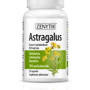 Astragalus