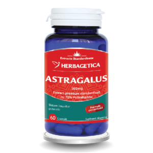 Astragalus