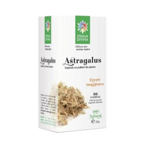 Astragalus 500mg