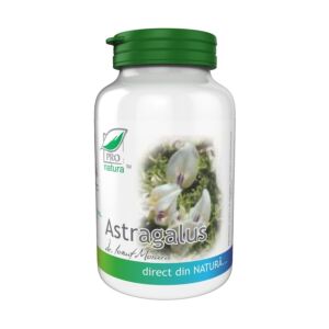 Astragalus
