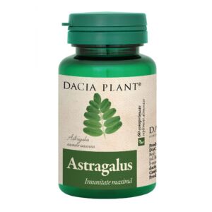 Astragalus