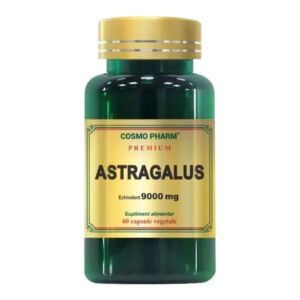 Astragalus Extract 450mg