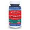 Astragalus – 500 mg