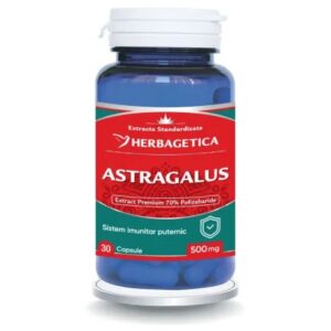 Astragalus – 500 mg
