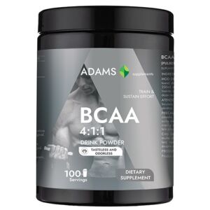 BCAA 4:1:1