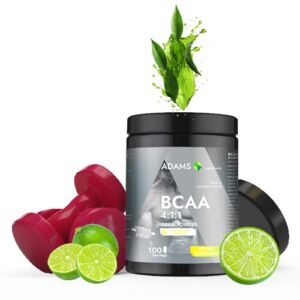 BCAA 4:1:1 pulbere aroma lamaie si lime