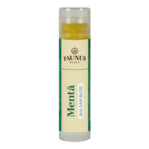 Balsam buze cu Menta si vitamina E