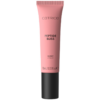 Balsam de buze cu Peptide 010 Life in Rose