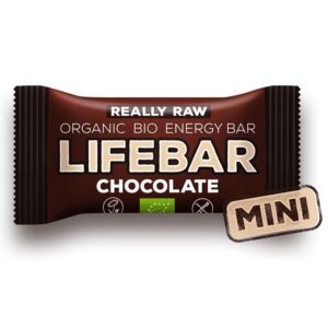 Baton cu ciocolata raw Lifebar Bio