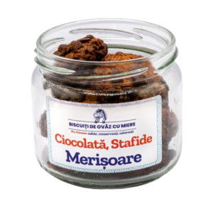 Biscuiti de ovaz cu ciocolata stafide merisoare