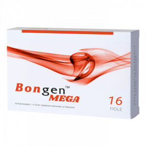 Bongen Mega