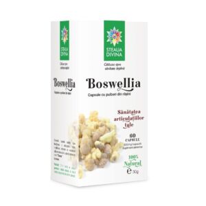 Boswellia 500mg