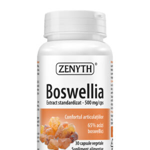 Boswellia 500mg Extract Standardizat