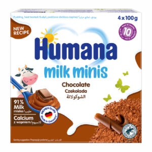 Budinca cu ciocolata +10 luni