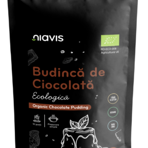 Budinca de ciocolata fara gluten