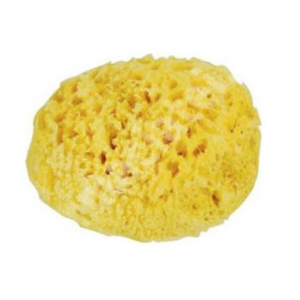 Burete natural de mare Honeycomb Spugnificio Bellini nr.12