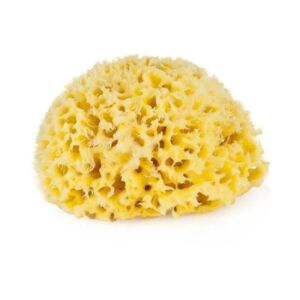 Burete natural de mare Honeycomb Spugnificio Bellini nr.8