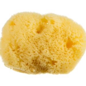 Burete natural pentru curatarea tenului