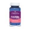 Candida Free
