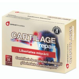 Cartilage repair