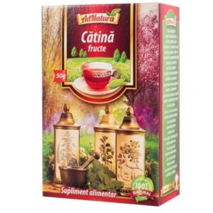Ceai de catina fructe