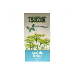 Ceai de fructe de fenicul