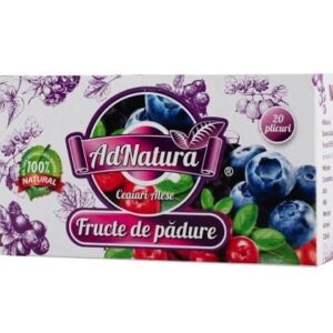 Ceai de fructe de padure