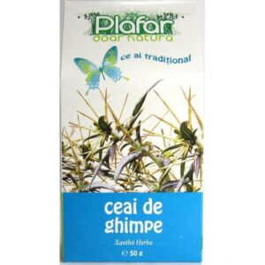 Ceai de ghimpe