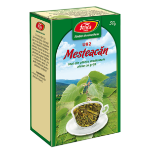Ceai de mesteacan