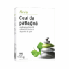 Ceai de patlagina
