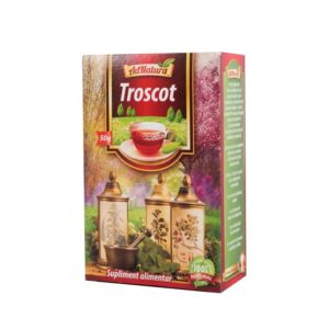 Ceai de troscot