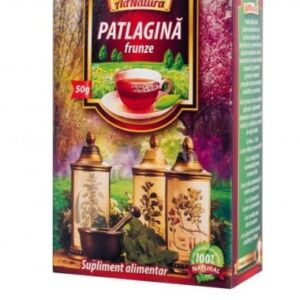 Ceai frunze de patlagina