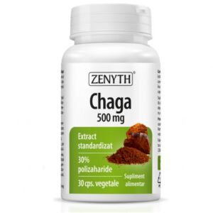 Chaga 500mg Extract Standardizat