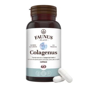 Colagenus Capsule – Colagen tip II