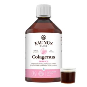 Colagenus Frumusete – Colagen lichid cu biotina 500ml