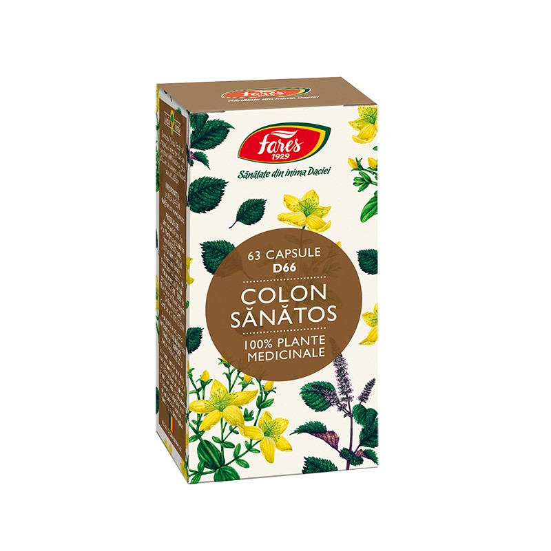 Colon sanatos
