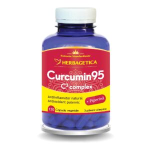 Curcumin95+ C3 Complex